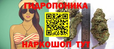 хмурый Владивосток