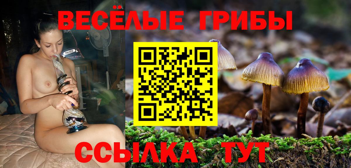 Псилоцибиновые грибы MAGIC MUSHROOMS Белогорск