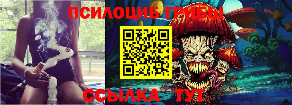 Галлюциногенные грибы мухоморы  Псилоцибиновые грибы прущие грибы  Белогорск  Вход с VPN 